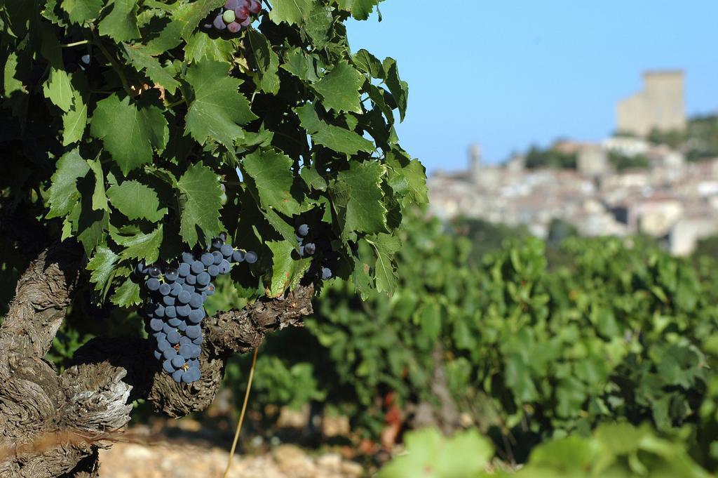 Les Carmes And Spa Le Thor Εξωτερικό φωτογραφία