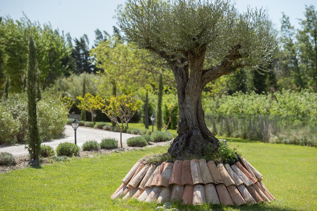Les Carmes And Spa Le Thor Εξωτερικό φωτογραφία